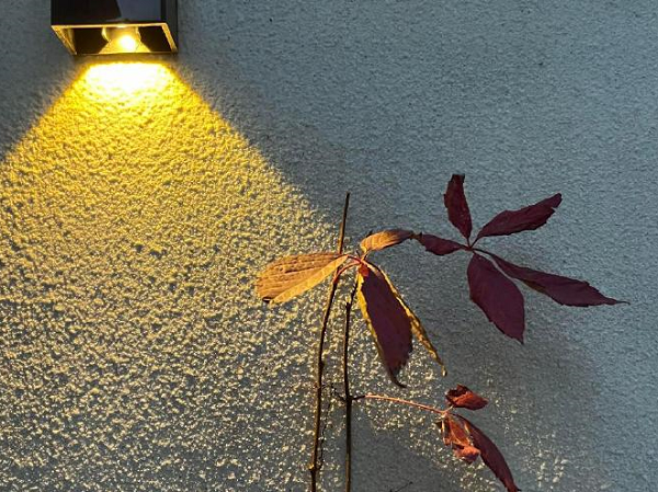 怎么查出轨证据不违反法律